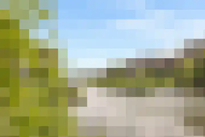 IJburglaan 852 Amsterdam thumbnail 64