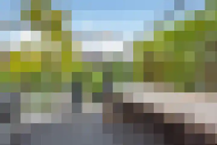 IJburglaan 878 Amsterdam thumbnail 14