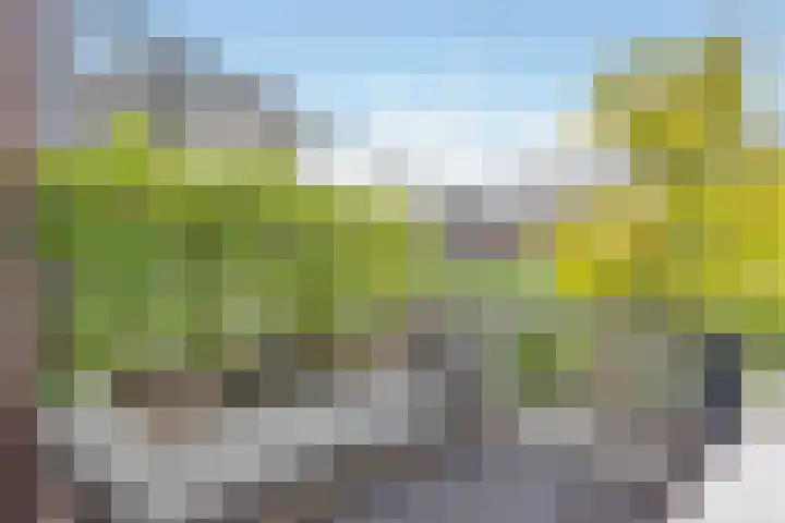 IJburglaan 878 Amsterdam thumbnail 15