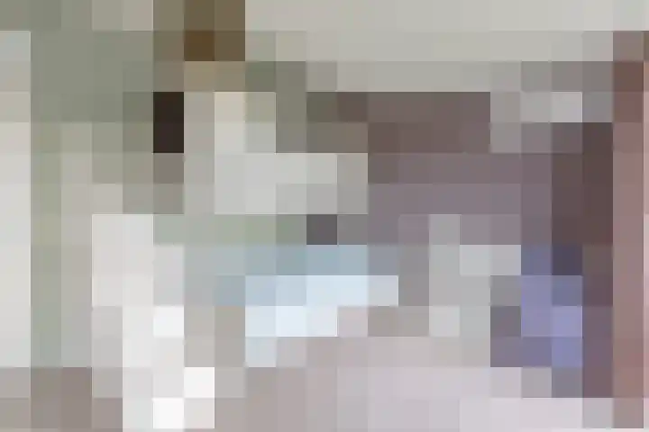 IJburglaan 878 Amsterdam thumbnail 36