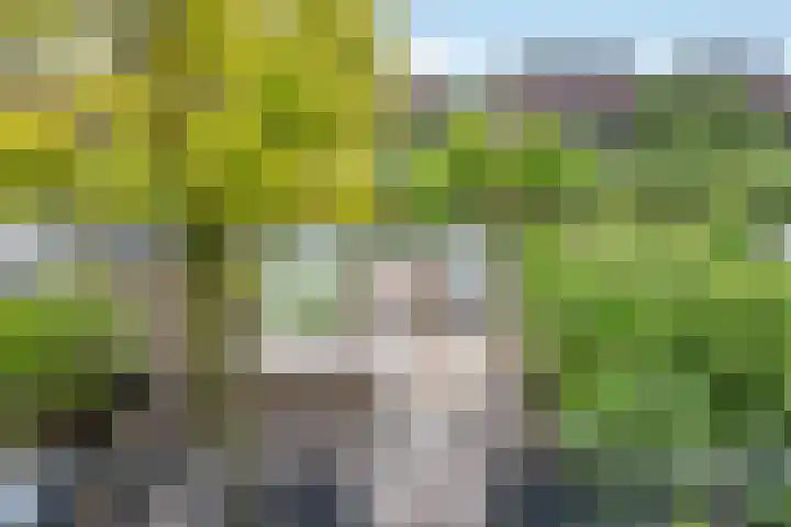IJburglaan 878 Amsterdam thumbnail 4