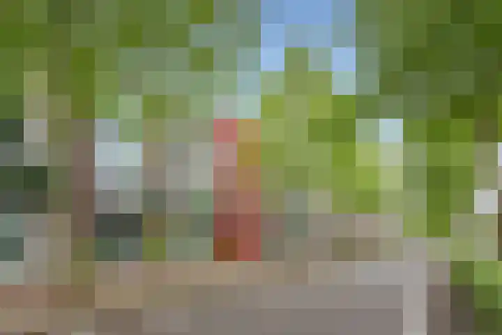 IJburglaan 878 Amsterdam thumbnail 5
