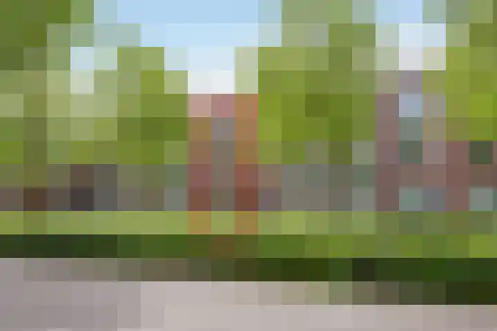 IJburglaan 878 Amsterdam thumbnail 52