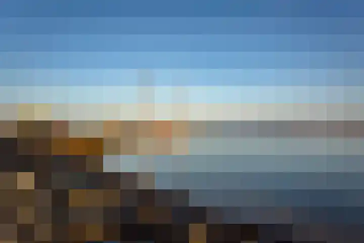 IJburglaan 878 Amsterdam thumbnail 60