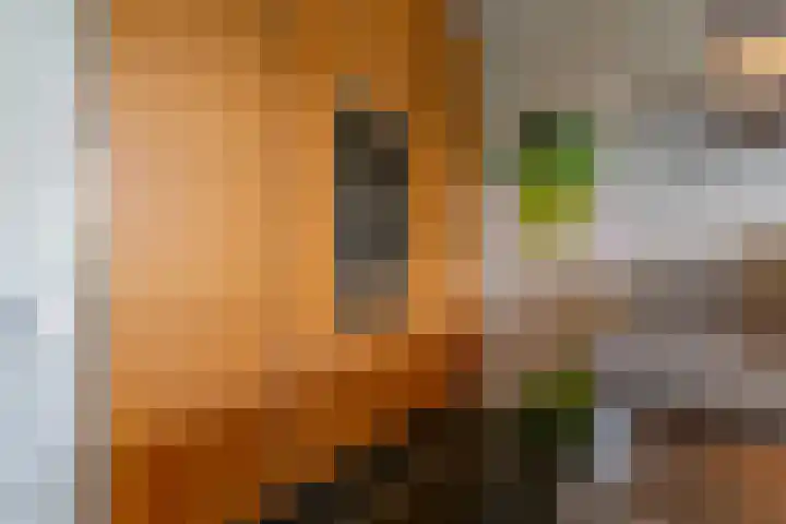IJburglaan 878 Amsterdam thumbnail 9