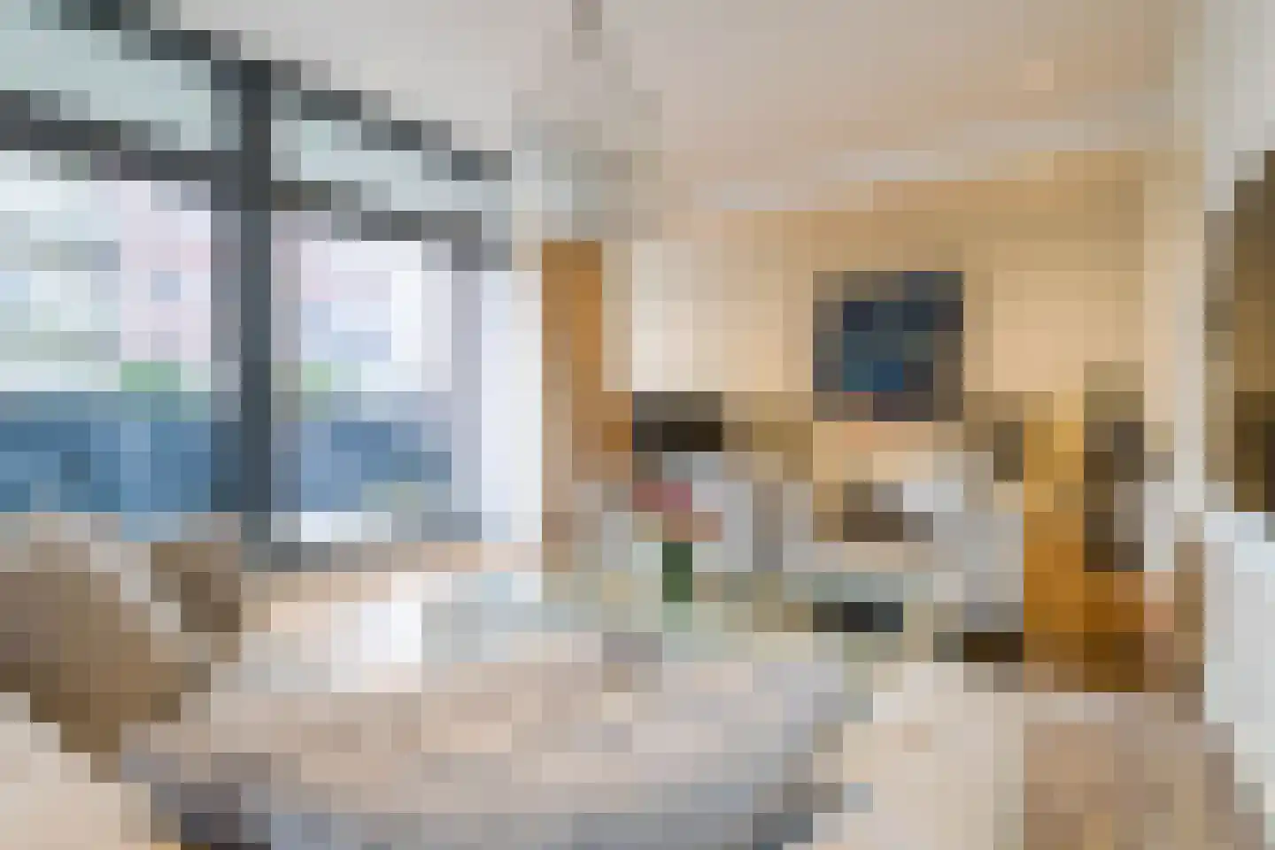 IJburglaan 896 Amsterdam thumbnail 6