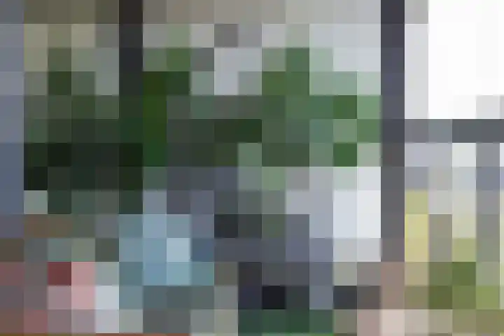 IJburglaan 897 Amsterdam thumbnail 11