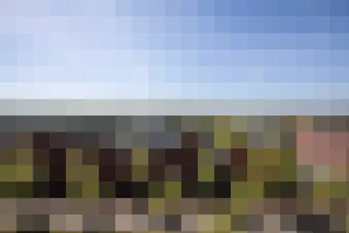 IJburglaan 897 Amsterdam thumbnail 37