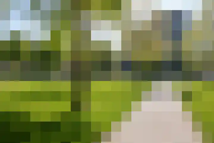 IJburglaan 897 Amsterdam thumbnail 43