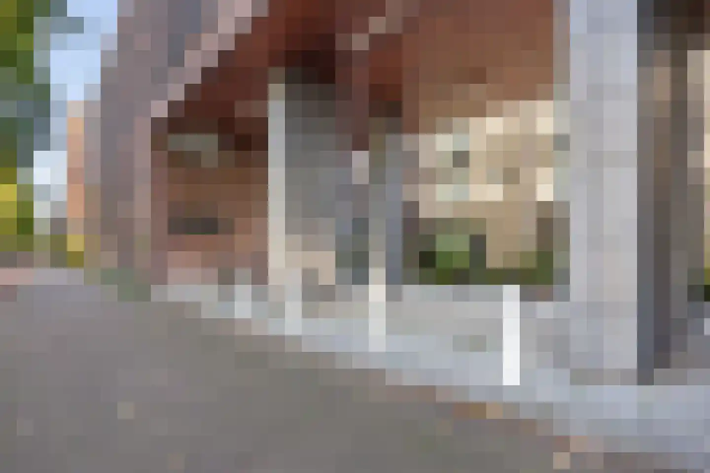 IJburglaan 920 Amsterdam thumbnail 6