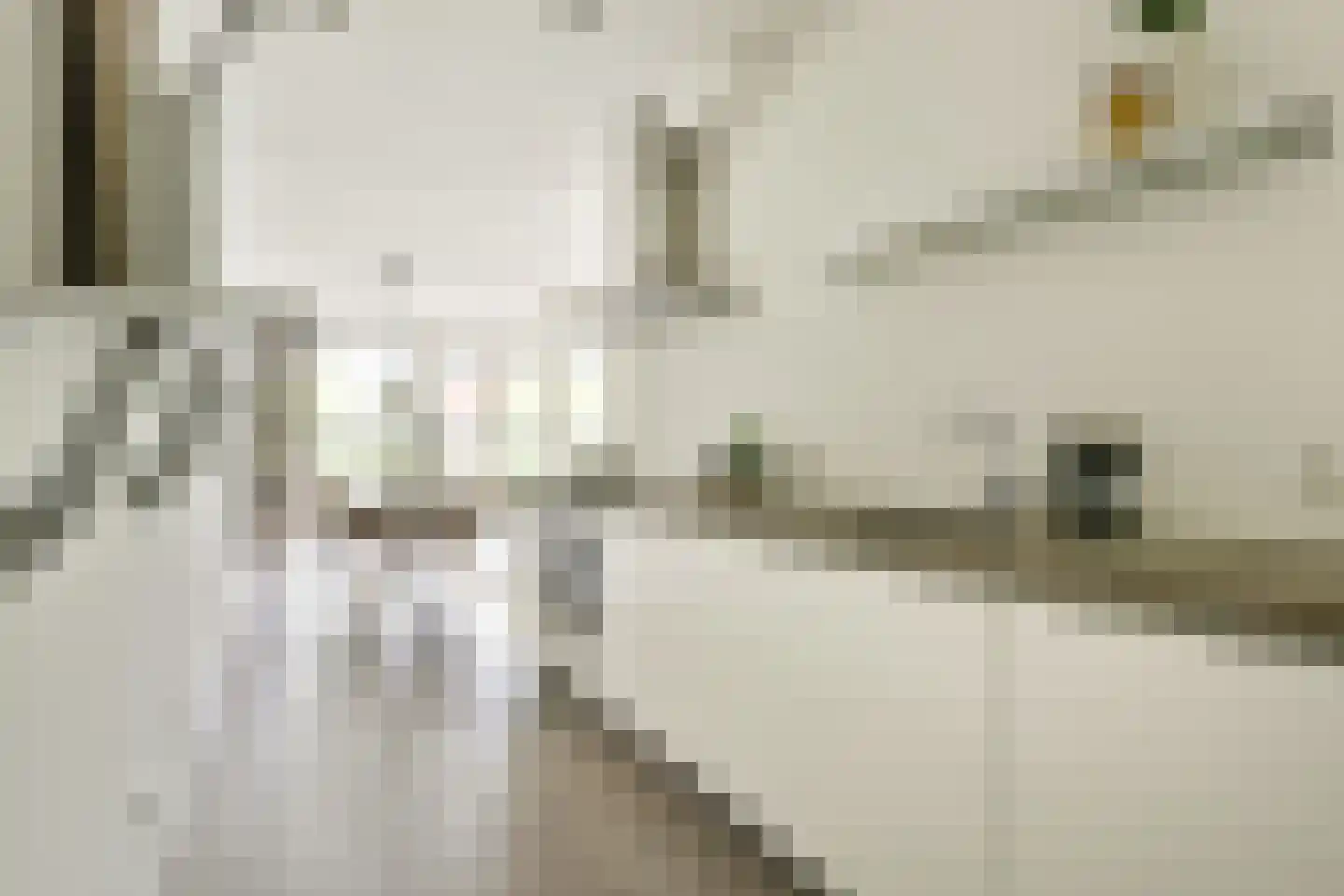 IJburglaan 981 Amsterdam thumbnail 13