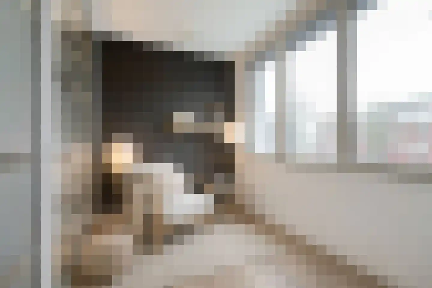 IJburglaan 989 Amsterdam thumbnail 5