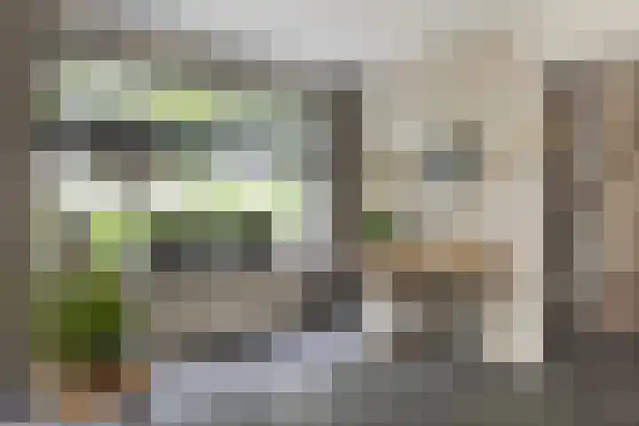 IJdenhove 11 Hendrik-Ido-Ambacht thumbnail 10
