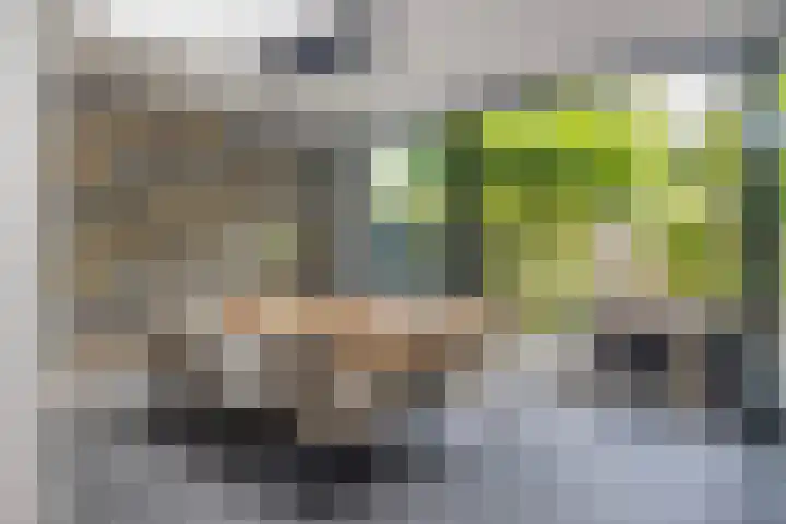 IJdenhove 11 Hendrik-Ido-Ambacht thumbnail 11