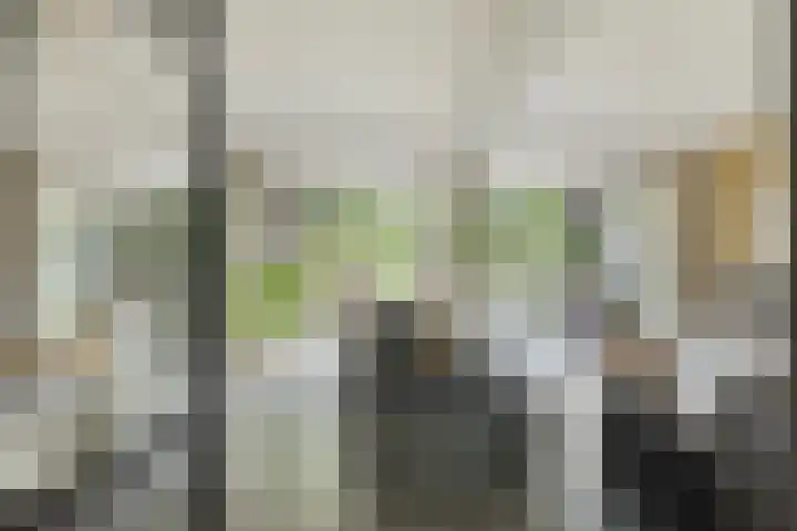 IJdenhove 11 Hendrik-Ido-Ambacht thumbnail 6
