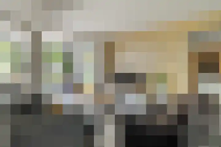 IJdenhove 11 Hendrik-Ido-Ambacht thumbnail 7