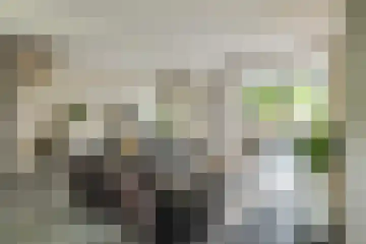 IJdenhove 11 Hendrik-Ido-Ambacht thumbnail 9