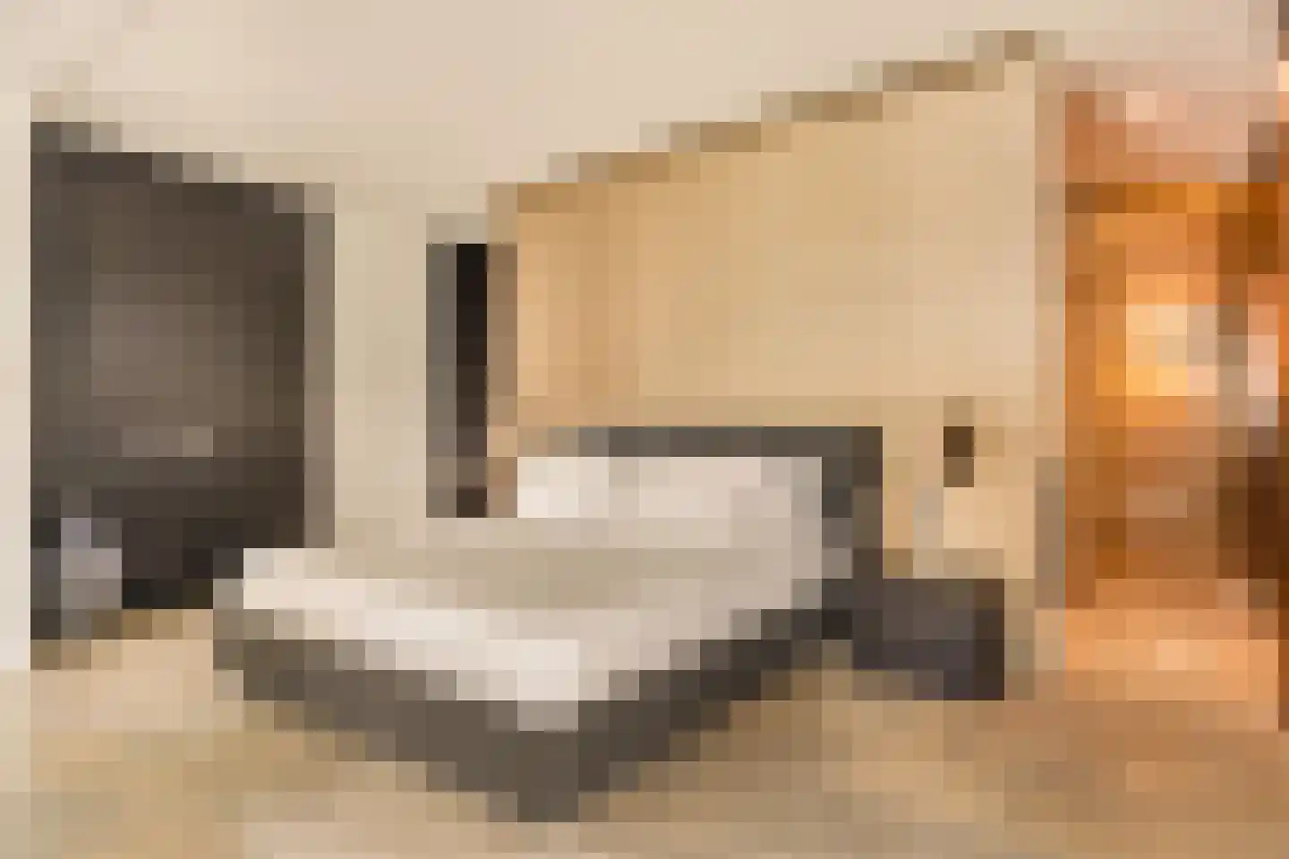 IJdok 151 Amsterdam thumbnail 24