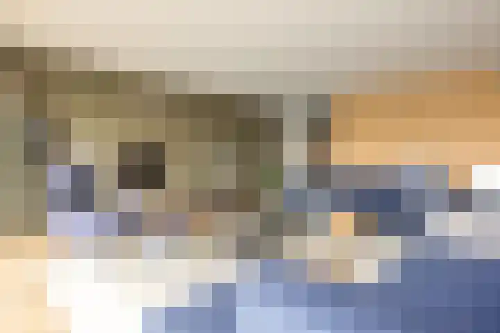 IJdok 73 Amsterdam thumbnail 12