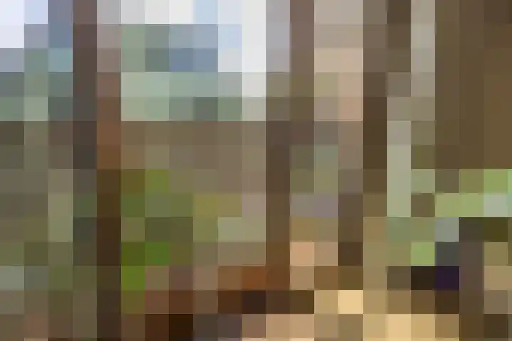 IJdok 73 Amsterdam thumbnail 33
