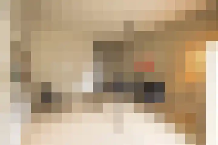 IJdok 73 Amsterdam thumbnail 43