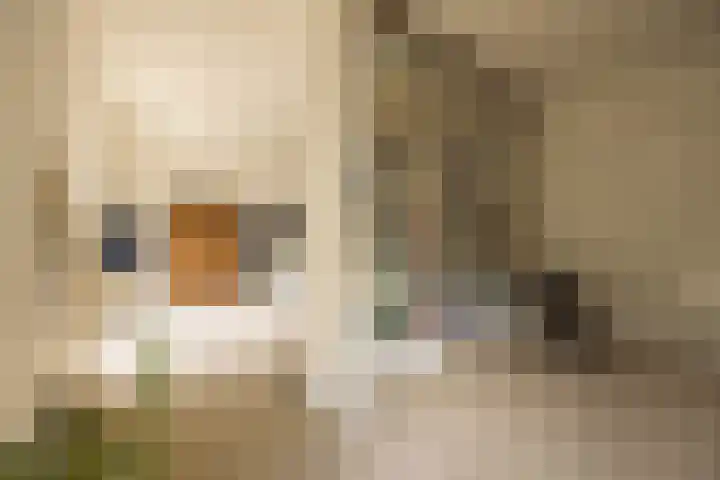 IJdok 73 Amsterdam thumbnail 44