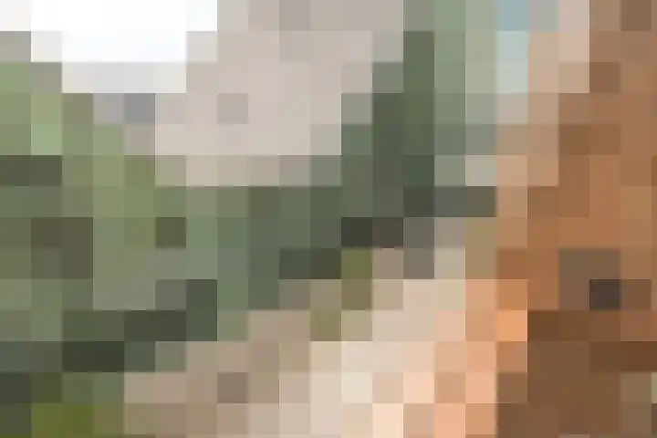 IJdok 73 Amsterdam thumbnail 47