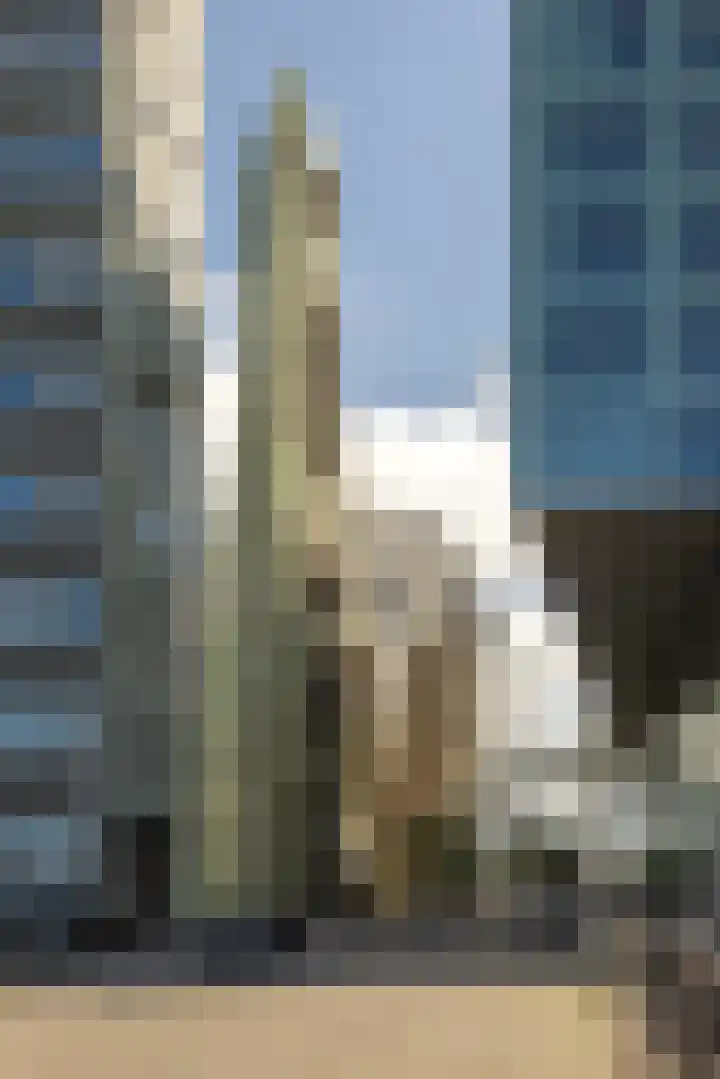 IJdok 73 Amsterdam thumbnail 65