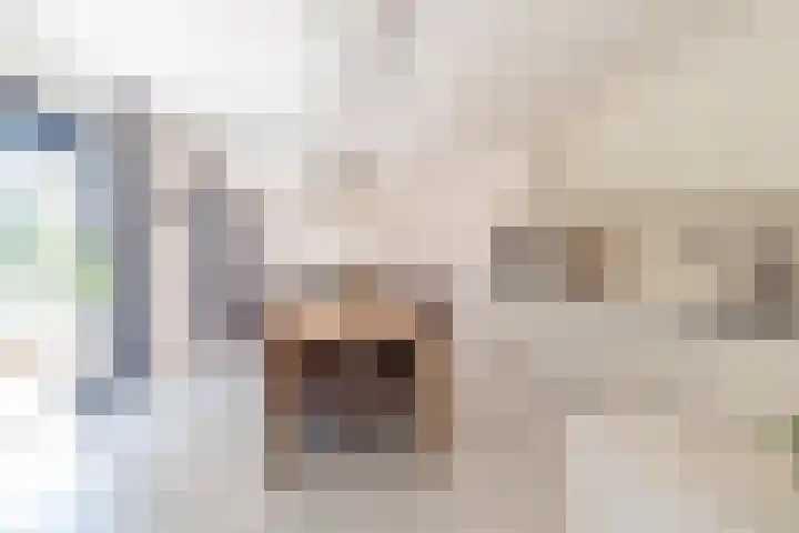 IJdoornlaan 1431 Amsterdam thumbnail 12