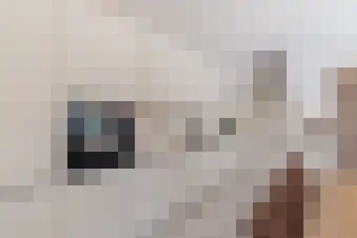 IJdoornlaan 1431 Amsterdam thumbnail 14