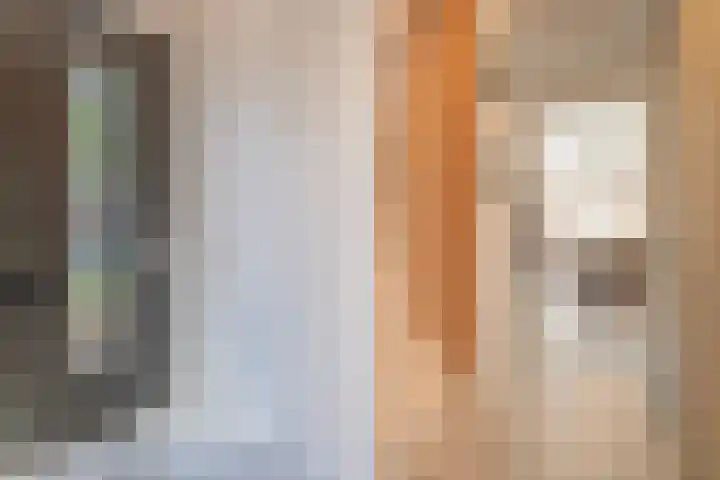 IJdoornlaan 1431 Amsterdam thumbnail 21