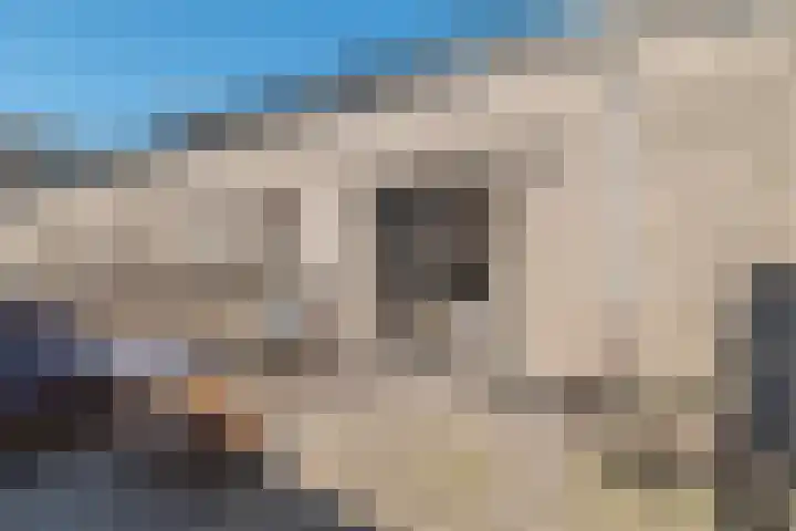 IJdoornlaan 1431 Amsterdam thumbnail 26