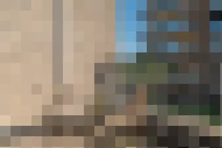 IJdoornlaan 1431 Amsterdam thumbnail 29