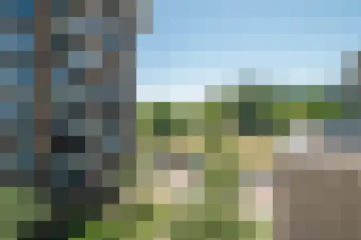 IJdoornlaan 1431 Amsterdam thumbnail 45
