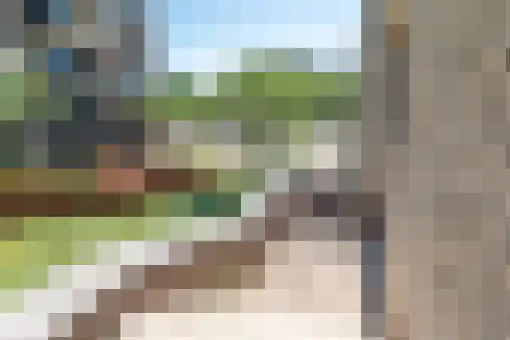 IJdoornlaan 1431 Amsterdam thumbnail 5