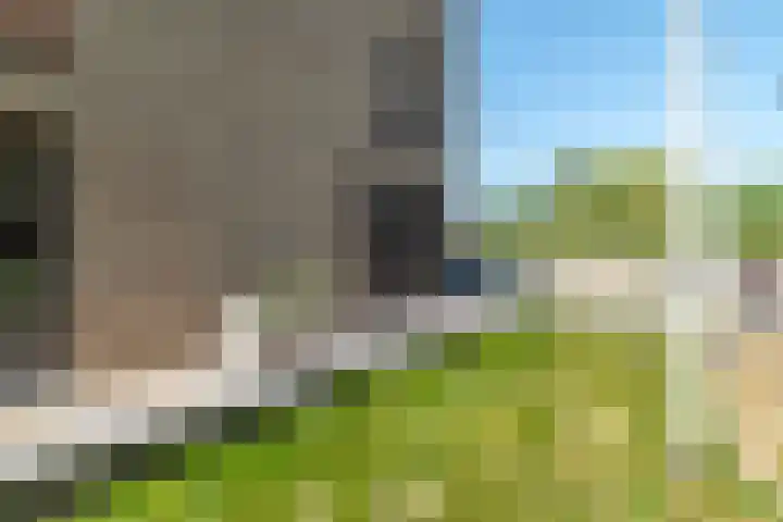 IJdoornlaan 1431 Amsterdam thumbnail 58
