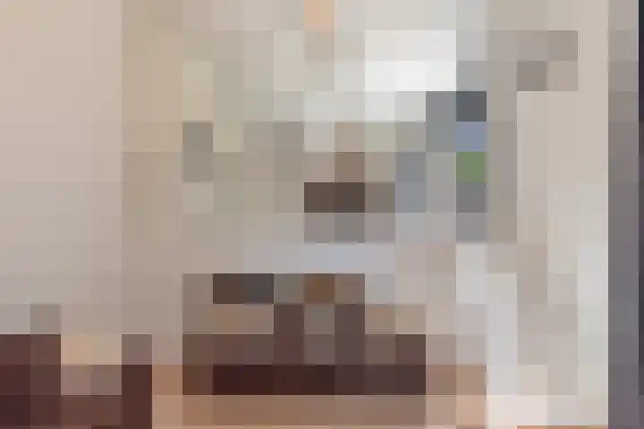 IJdoornlaan 1431 Amsterdam thumbnail 6