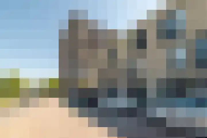IJdoornlaan 1431 Amsterdam thumbnail 62