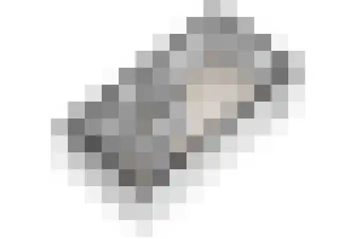 IJdoornlaan 1431 Amsterdam thumbnail 64