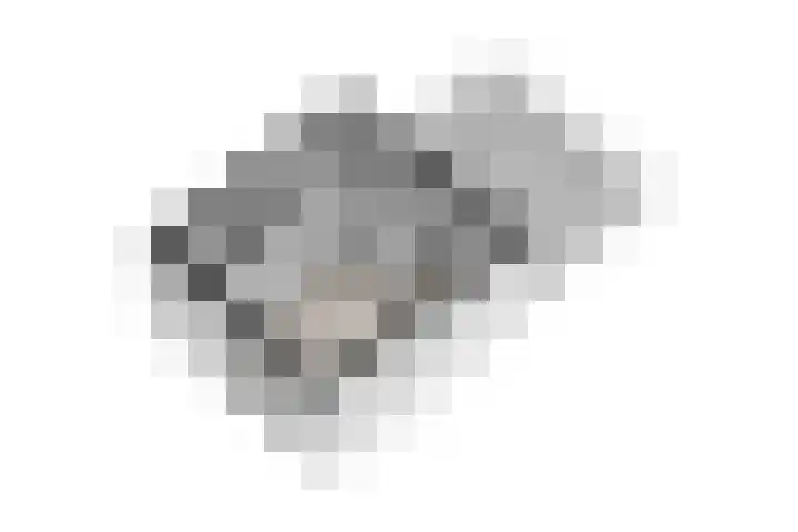 IJdoornlaan 1431 Amsterdam thumbnail 78