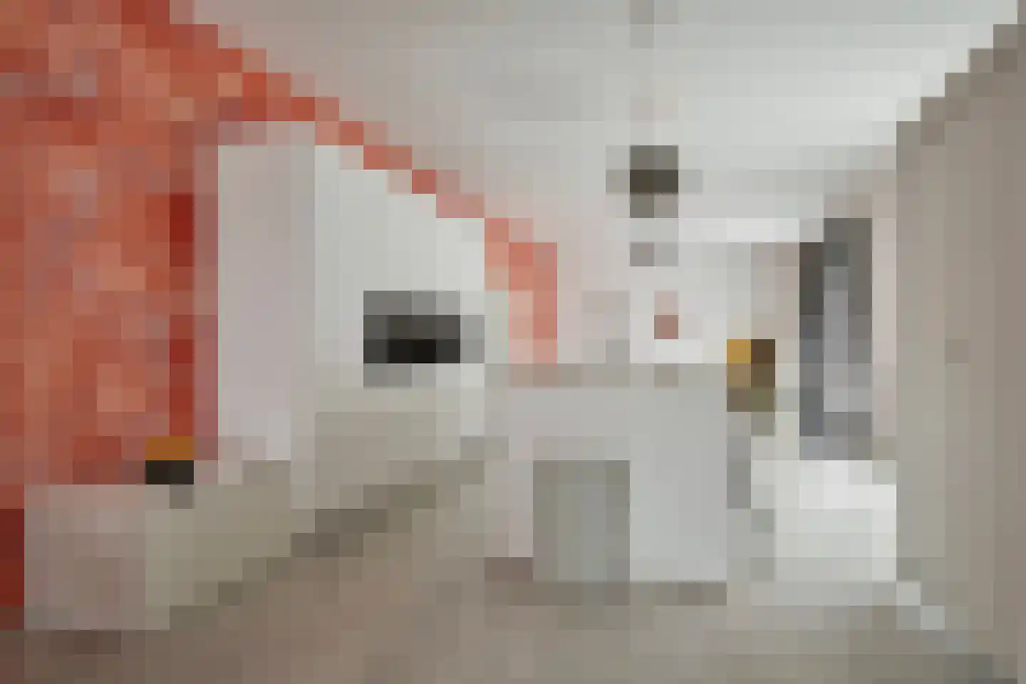 IJdoornlaan 1443 Amsterdam thumbnail 11
