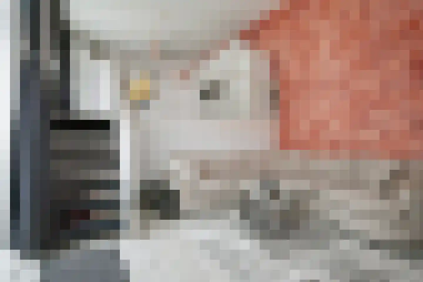 IJdoornlaan 1443 Amsterdam thumbnail 18