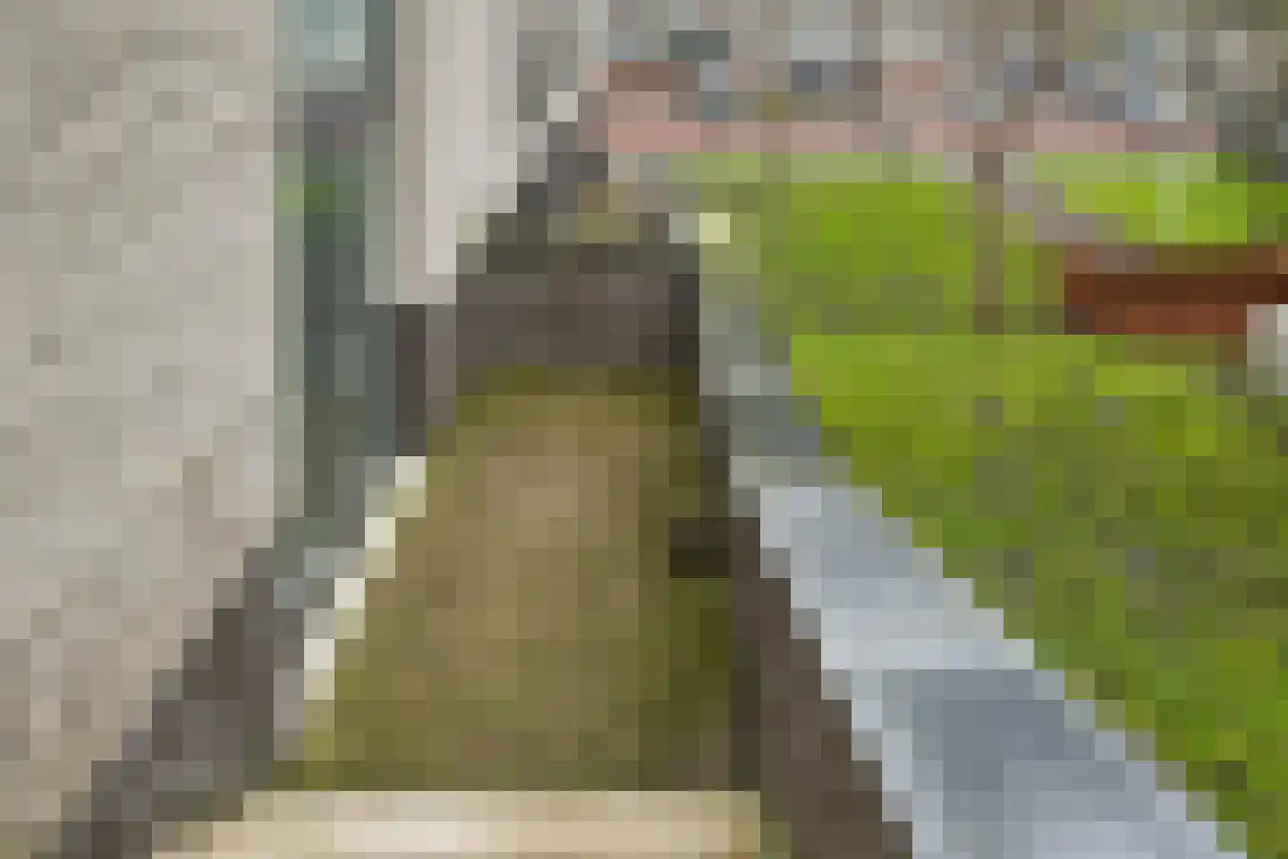 IJdoornlaan 1443 Amsterdam thumbnail 6