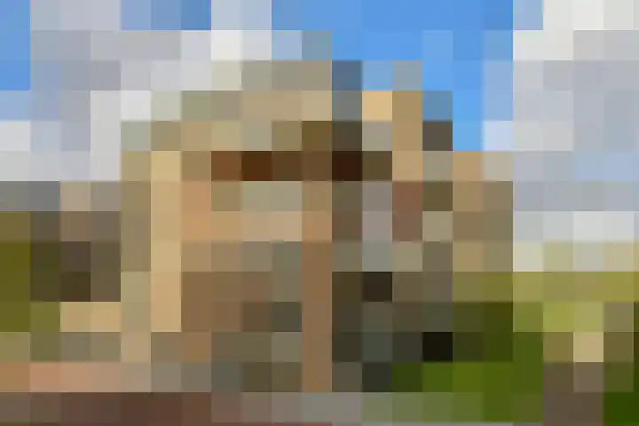 IJdoornlaan 1449 E Amsterdam thumbnail 21