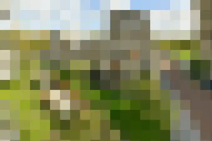 IJdoornlaan 1449 E Amsterdam thumbnail 22