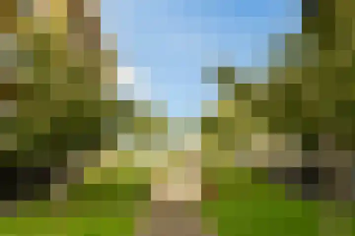 IJdoornlaan 1449 E Amsterdam thumbnail 23