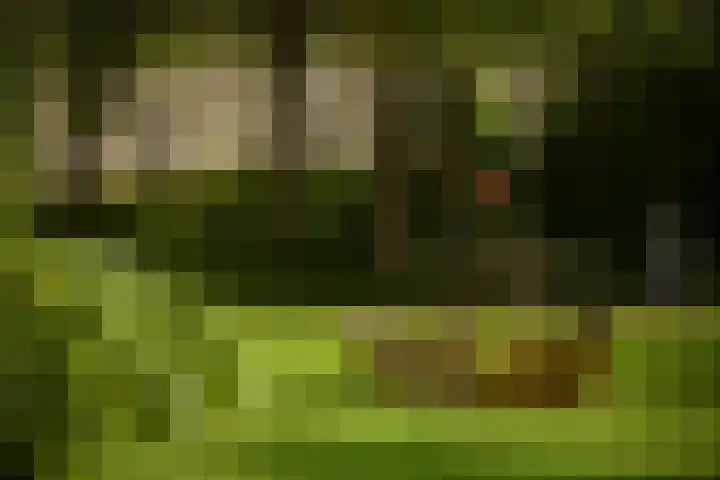 IJdoornlaan 1449 E Amsterdam thumbnail 24
