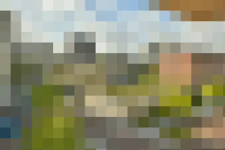 IJdoornlaan 1449 E Amsterdam thumbnail 25