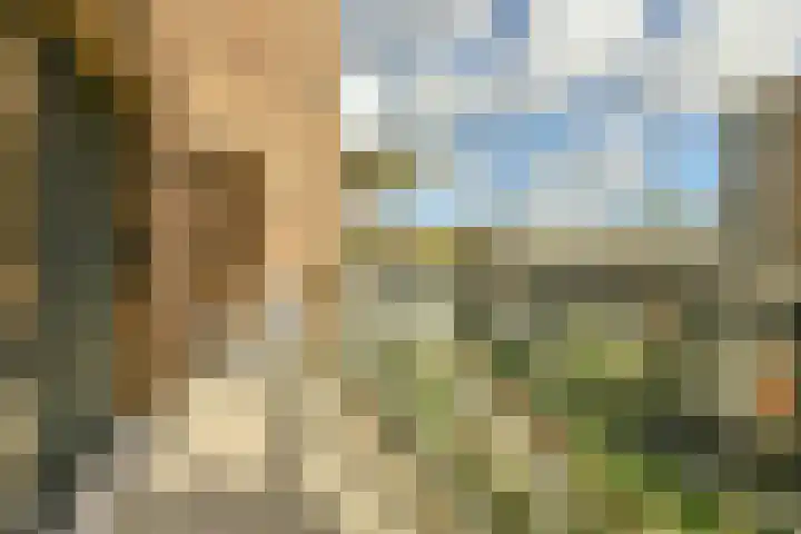 IJdoornlaan 1449 E Amsterdam thumbnail 9