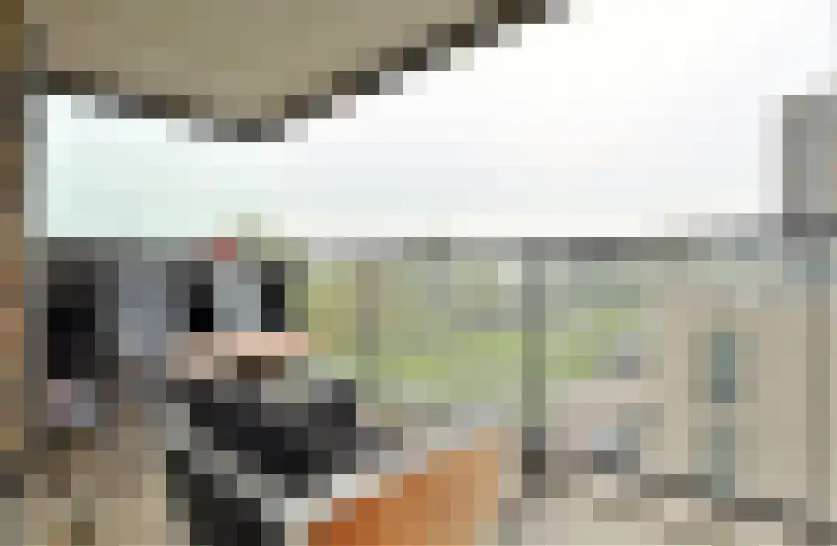 IJdoornlaan 1451 Amsterdam thumbnail 4